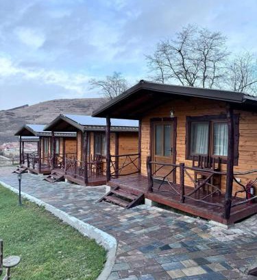 Livezile Casa | Pensiunea Bodrogeni