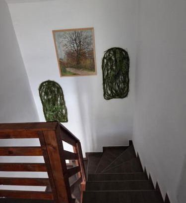 Suncuius Casa | Pensiunea Gradia Șuncuiuș