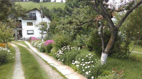 Bran Casa | Pensiunea Iulia