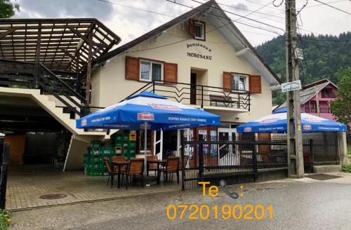 Borsa Casa | Pensiunea Morosanu