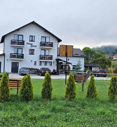 Vatra Dornei Casa | Pensiunea Poiana Dornei