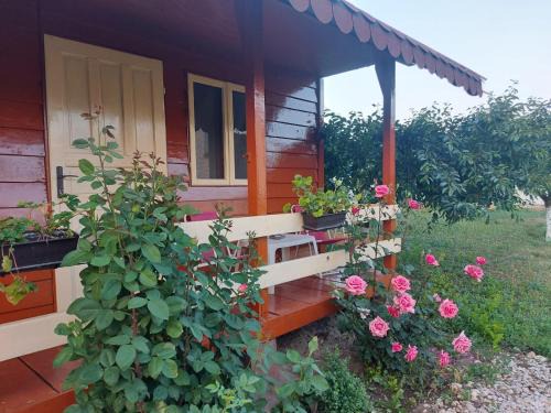 Mahmudia Casa | Pensiunea Raluca