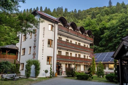 Sibiel Casa | Pensiunea Sibiel