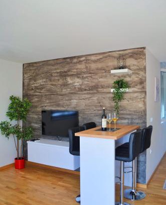 Vrnjacka Banja Apartamento | Penthaus apartman NOVAK