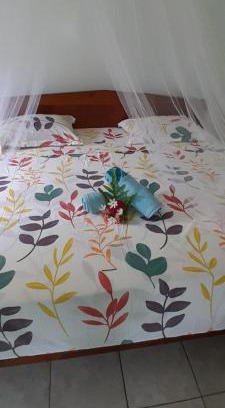 Te-Fare-Arii Casa | Penu Maurua 1