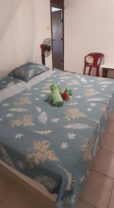 Te-Fare-Arii Casa | Penu Maurua 2