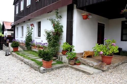 Prichovice Casa | Penzion D'Artagnan