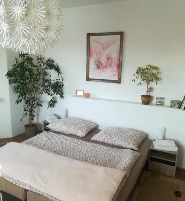 Zatec Apartamento | Penzion Flóra