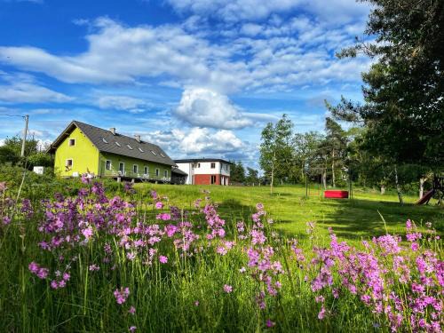 Kvasnovice Apartamento | Penzion Kozí zámek