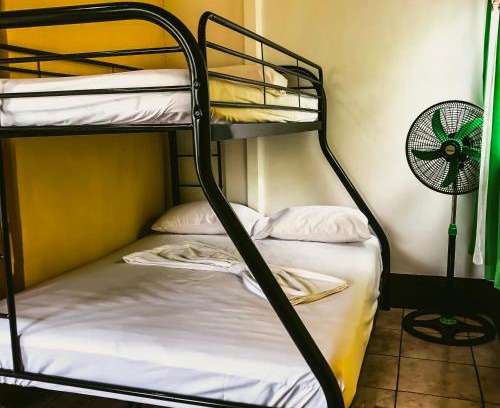 Cahuita Apartamento | Perezoso Lodge