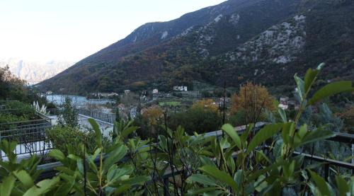 Donji Morinj Apartamento | Perfect 1 BR apartment in Lavander bay E2.2