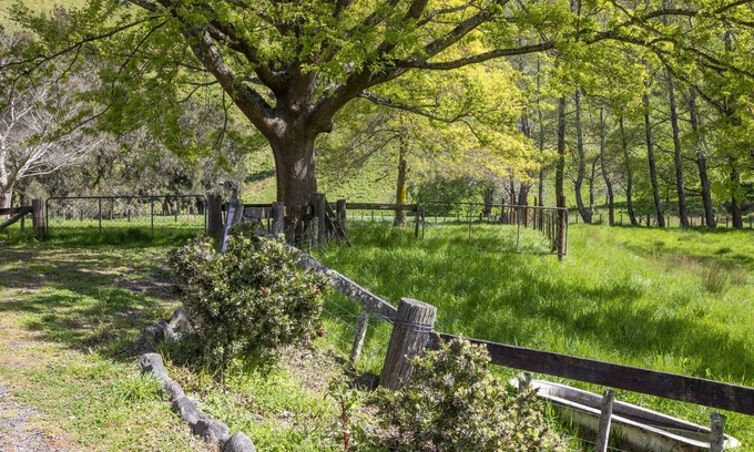 Porirua Cabaña | Perfect getaway from the hustle and bustle of city life.