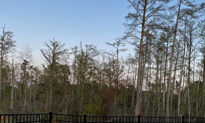 Belville Casa | Perfect Retreat for Two: Hot Tub, Firepit, Total Privacy, Near Beaches, Downtown