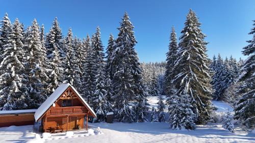 Zakamenne Casa | Perníková chalúpka