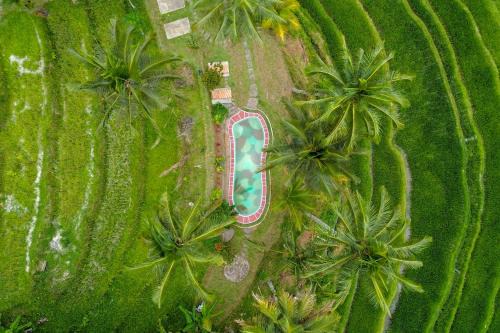 Wongaya Gede Cabina | Pesona Bali Ecolodge by AGATA