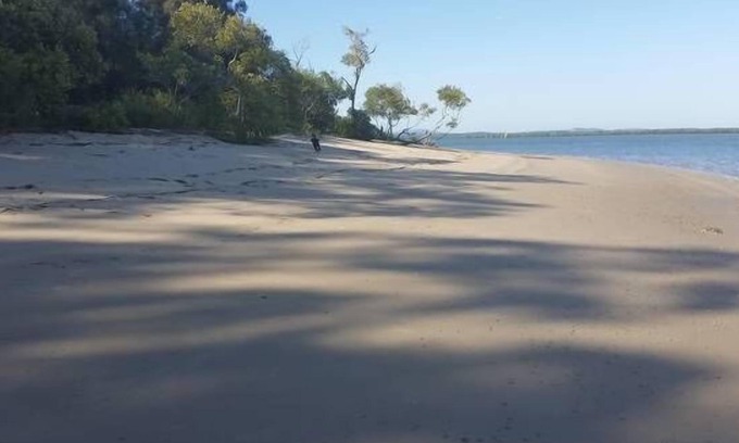 Brisbane Waterfront Casa | Se admiten mascotas en Peacefull Island W'front home, cangrejos, kayak, paseos en bicicleta