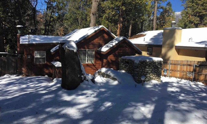 Idyllwild Cabina | Cabaña que admite mascotas con patio trasero completamente cercado. Muy acogedor, tranquilo!
