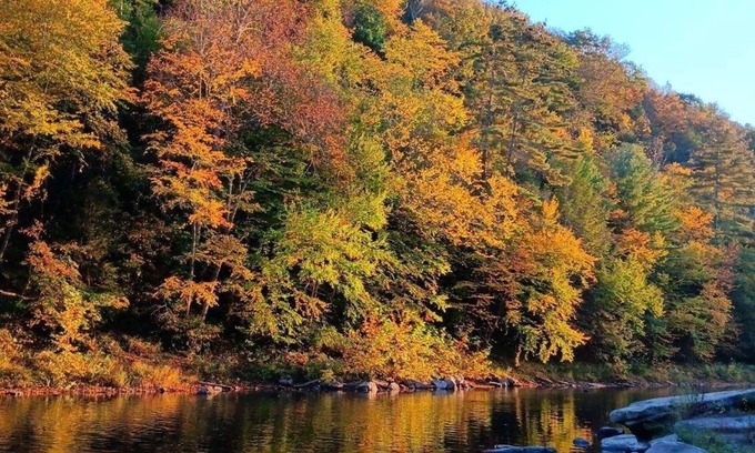 Benezette Cabina | Pet friendly 4 br home on 6.5 acres w access to swim & fishing area --sleeps 10