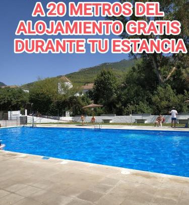 El Bosque Apartamento | Pet Friendly Apto El Sendero