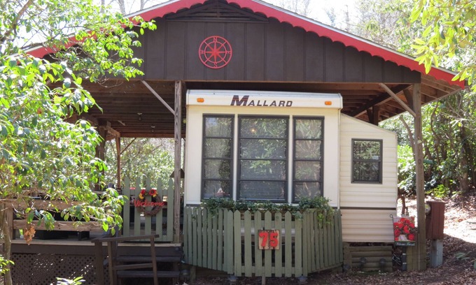 Pineola Casa | Pet Friendly - Beautiful Mountain Getaway