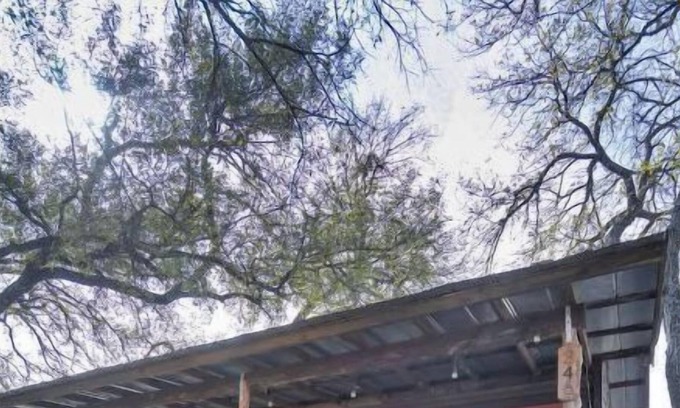 Smithwick Cabina | Pet-friendly cabin with hot tub
