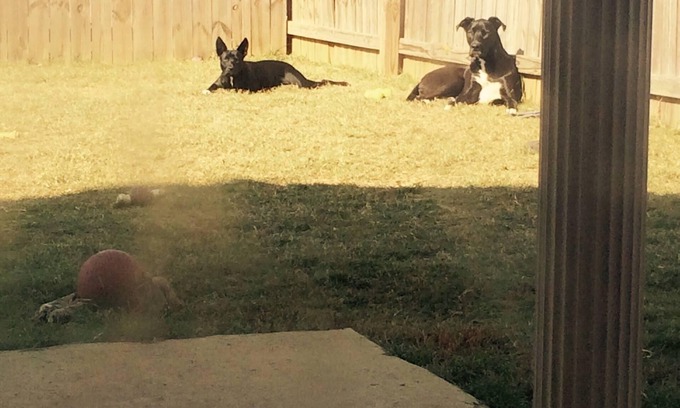 Taylorville Casa | Pet Friendly Getaway in Tuscaloosa - No Fees!