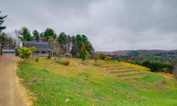 Pilot Apartamento | Pet-Friendly Pilot Studio with Vineyard Views!