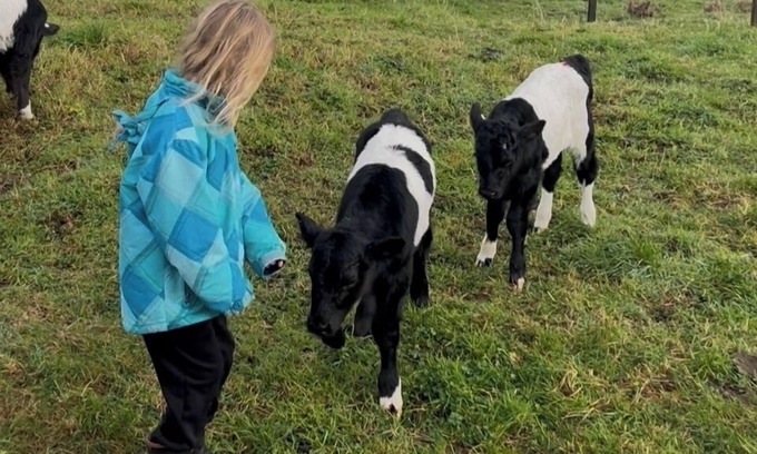 Papakura Otro | Pet Friendly Rural Paradise - Only Available until Mid November 2025