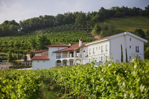 Brda Cama Y Desayuno | Peterc Vineyard Estate