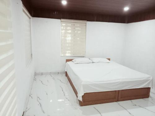 Alwaye Casa | PETERCOTTAGE HOMESTAY