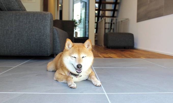 Hatago Oda Onsen Casa | Petfriendly accommodation plan 3 pairs of prize/Izumo Shimane