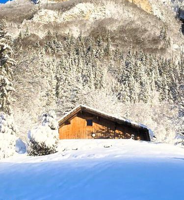 Marignier Chalet De Esquí | Petit chalet en bois avec mezzanine en montagne