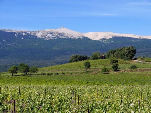Mazan Casa | Petit gite de Provence
