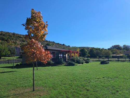 Rogues Casa | PETITE MAISON EN BOIS
