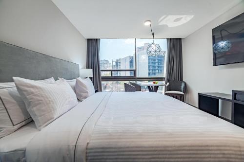 Polanco Apartamento | PH Masarik 17