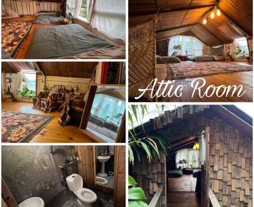 Da Lat Casa | Phong Lu Homestay Dalat