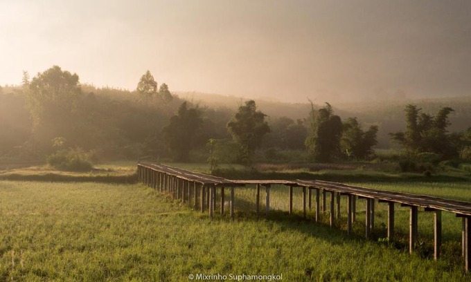 Phu Ruea Complejo | Phuruarounmai Organic Living Resort
