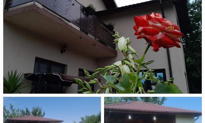Niculitel Casa | PIATRA ROSIE Pensiune Agroturistică