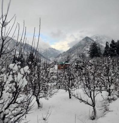 Kullu Hotel | PIBU House , TULGA