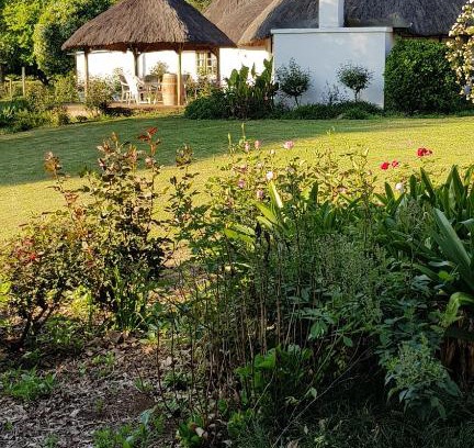 Lions River Casa | Piccadilly Farm Cottages
