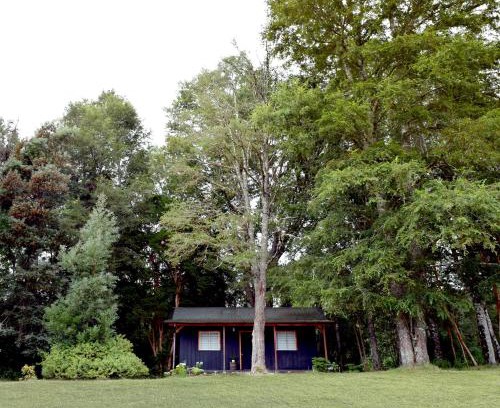 Valdivia Casa | Pichihuape Lodge