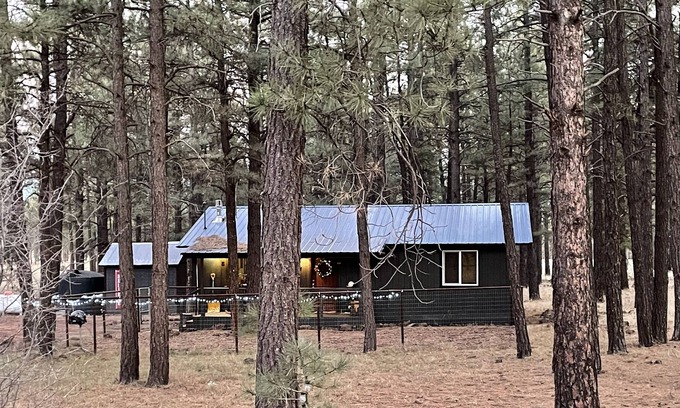 Williams Cabina | Picturesque Cabin in the Woods near Flagstaff and Grand Canyon