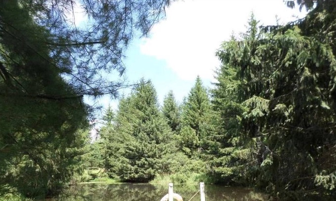 Jewett Cabaña | Picturesque Lakeside Cottage Nearby Hunter/Windham