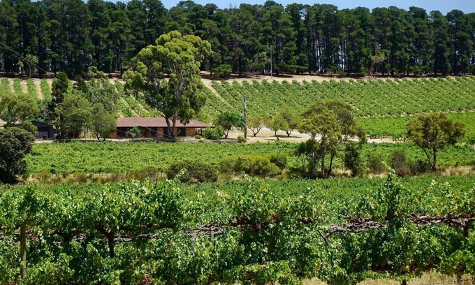 McLaren Vale Casa | Picturesque Vineyard Farmhouse Nestled on 40 Acres