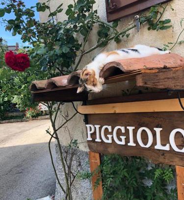 Rocca Malatina Casa | PIGGIOLO