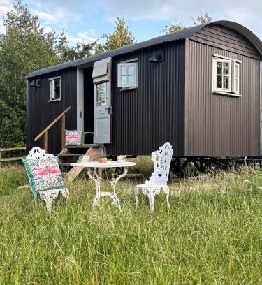 Castle Donington Otro | PIGLET adult only shepherds hut