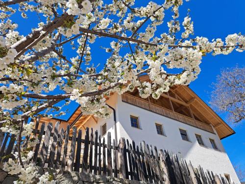 Renon Apartamento | Pignathof Castanea