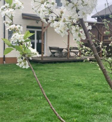 Zujunai Apartamento | Pilaites svetingi namai