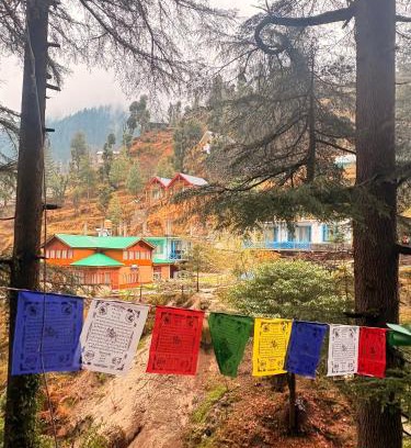 Jibhi Casa | Pine Nest Deluxe Rooms