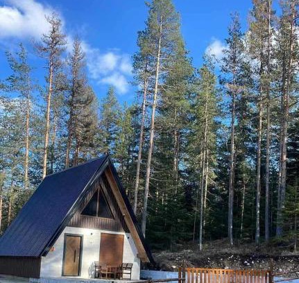 Zabljak Casa | Pine Retreat